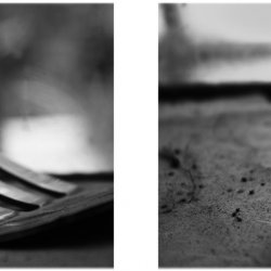 Con los humanos no se juega