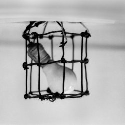 Libertad condicional